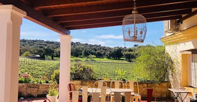 Doña Felisa Winery: tour and tasting