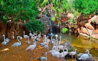 Bioparc – Fuengirola
