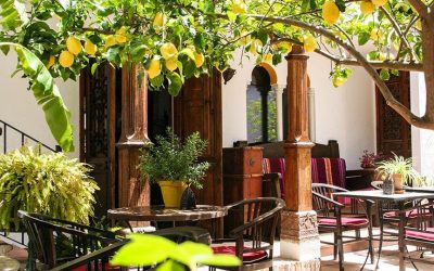 La Posada del Angel – Ojén