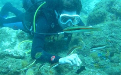 Diving- Fuengirola